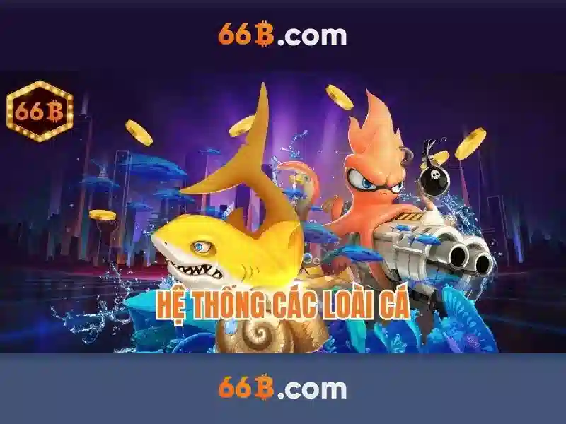 quà tặng 66B - 66B