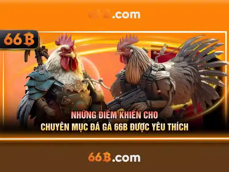  điều khoản điều kiện - 66B