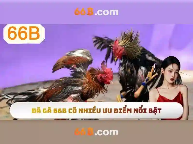 66b đổi tiền - 66B