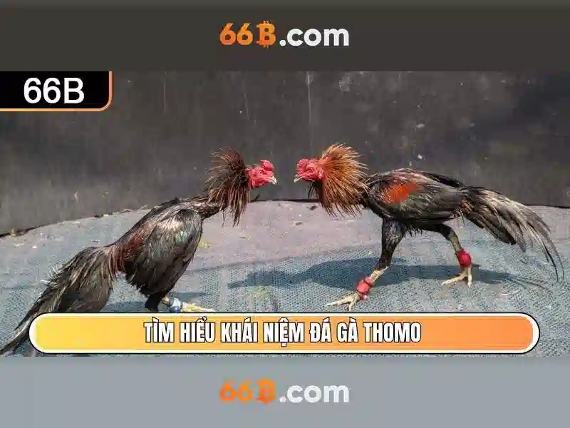 66b: Chiến lược tối ưu SEO cho trang cược trực tuyến