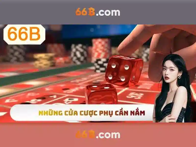 Chính Sách Bảo Mật Tài Khoản 66B – An Toàn Dữ Liệu, Trải Nghiệm Slot 66B - 66B