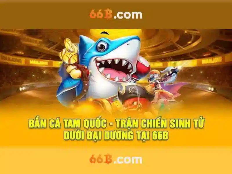 điều khoản điều kiện 66B - 66B