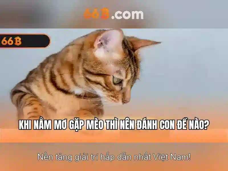 hướng dẫn rút tiền - 66B