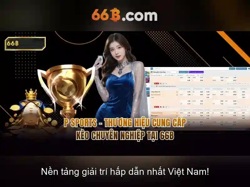  hỗ trợ 66b - 66B
