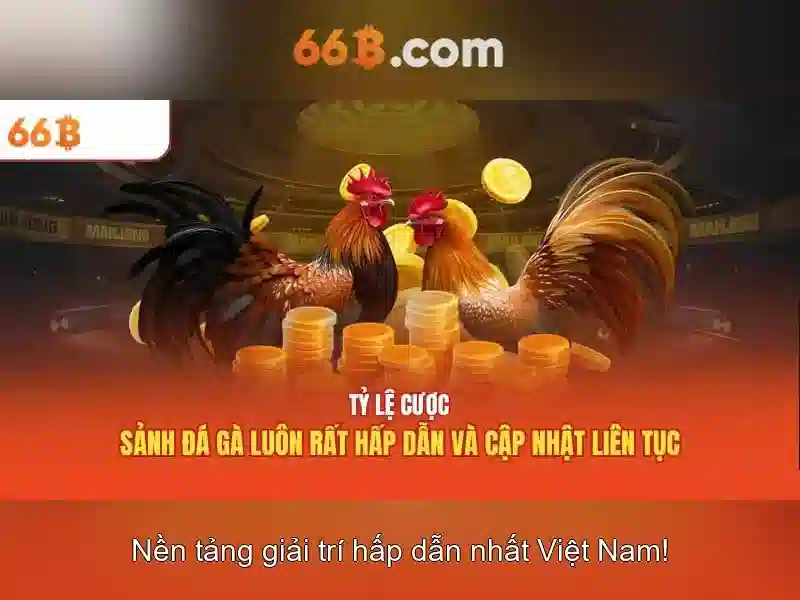  nội dung SEO - 66B