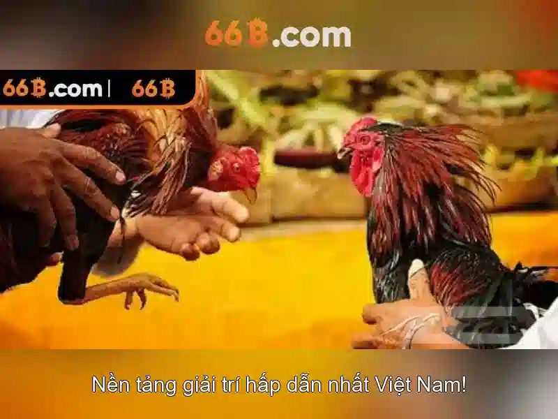  casino trực tuyến - 66B