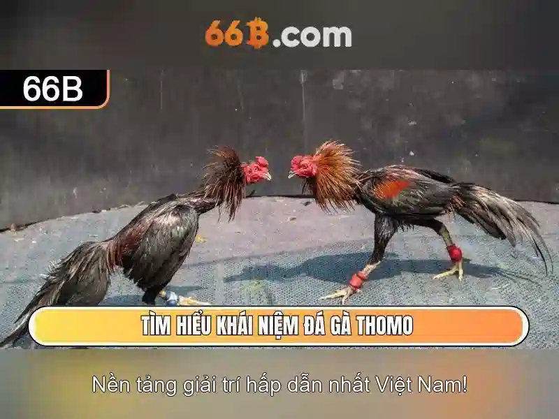 Hướng Dẫn Tiến Lên 66B: Cách Vào Slot 66B Mọi Lúc Mọi Nơi - 66B