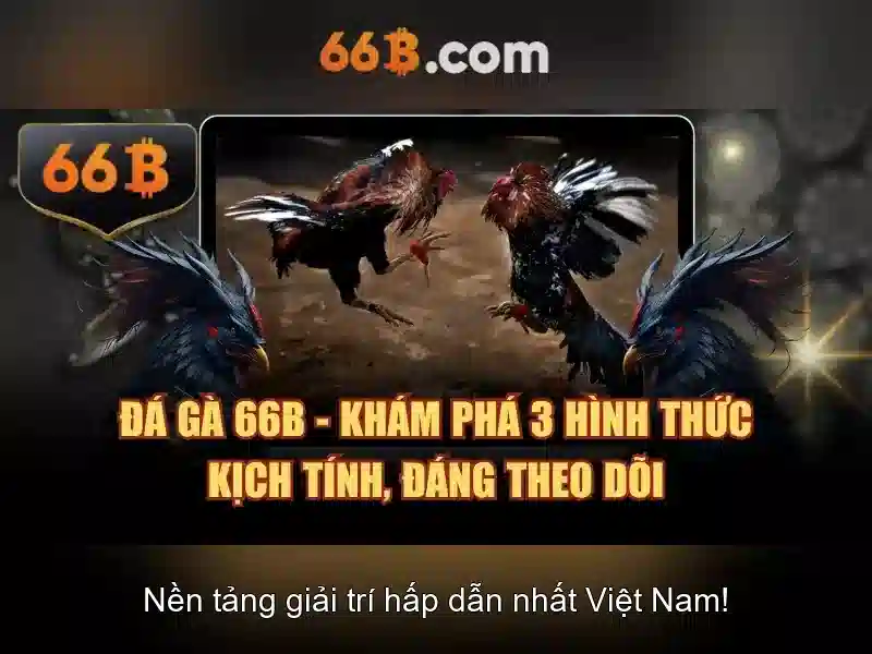 66b: Chiến lược tối ưu SEO cho trang cược trực tuyến
