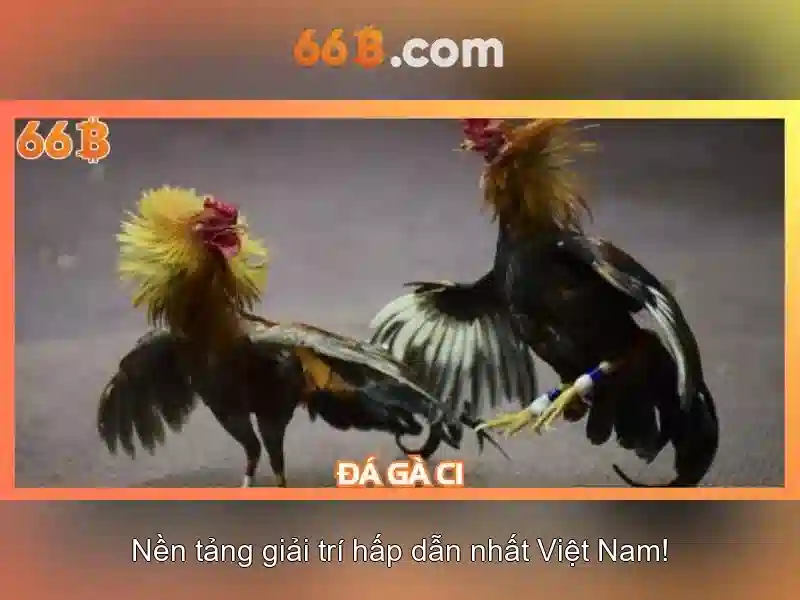 66B - 66B