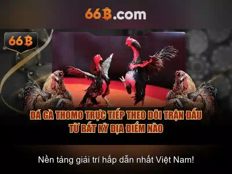 66b: Chiến lược tối ưu SEO cho trang cược trực tuyến