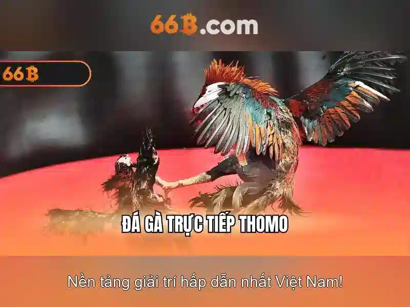 đánh giá Slot 66b - 66B