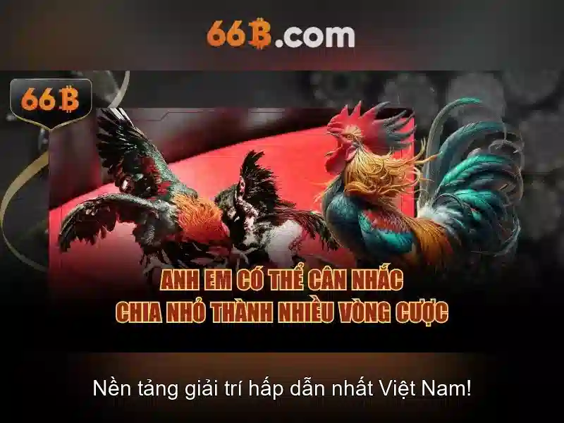  hỗ trợ - 66B