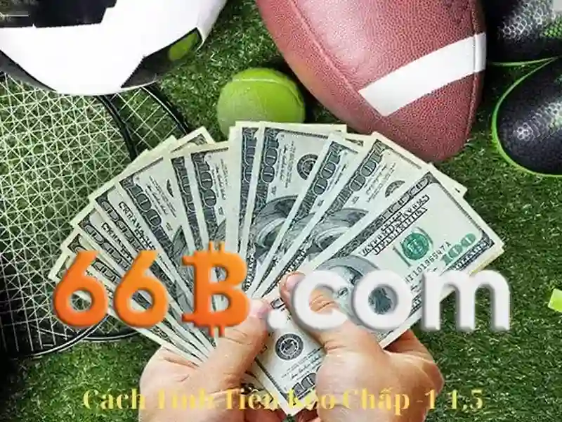 Chơi Cá Cược - 66B