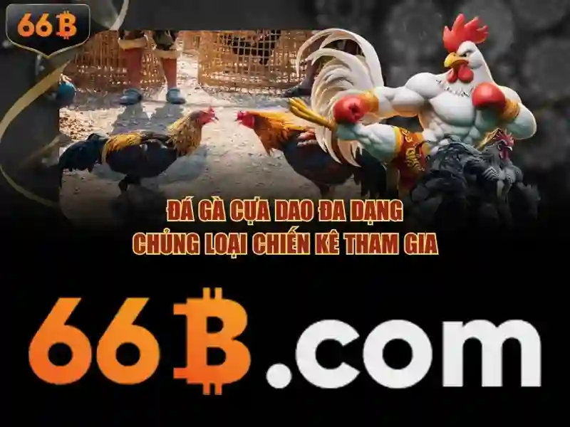 66b: Chiến lược tối ưu SEO cho trang cược trực tuyến