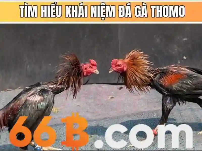 Review 66B – Hướng Dẫn Đăng Ký 66B Trong Một Nốt Nhạc 2026 - 66B