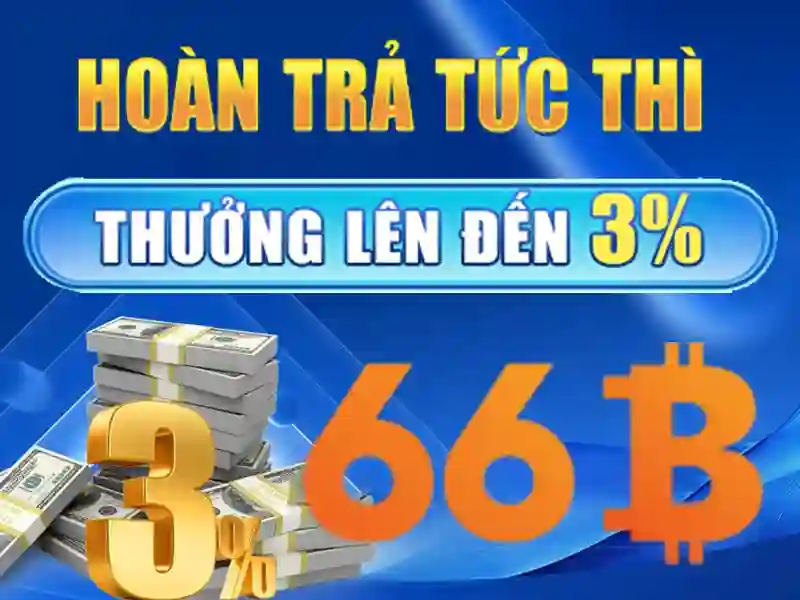 đặt cược - 66B